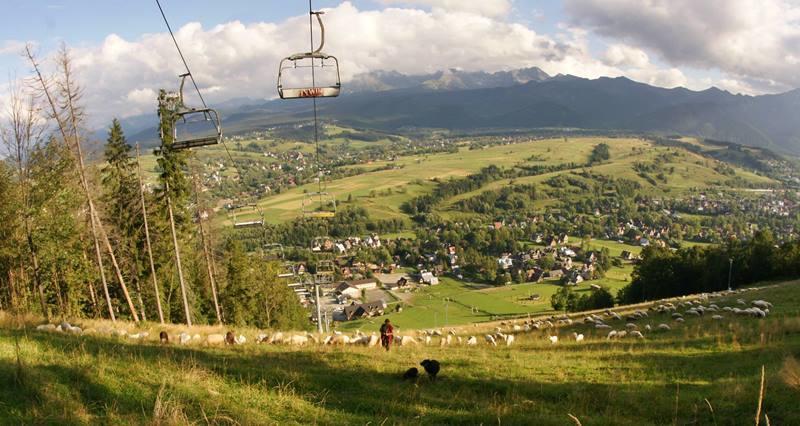 Pokoje U Zoskip Appartement Zakopane Buitenkant foto